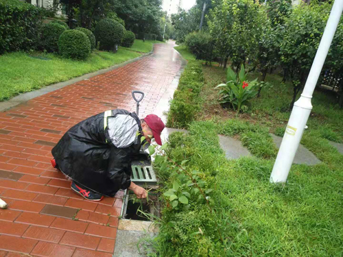 超强台风来袭，金泰物业守候业主家园！(图3)