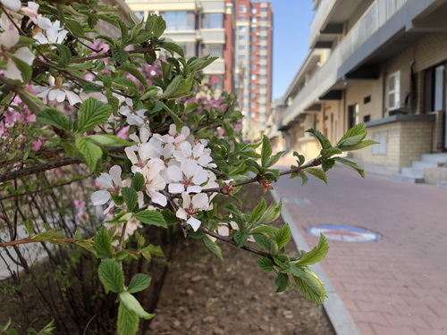 春暖花开，遇见金泰好时光！(图4)