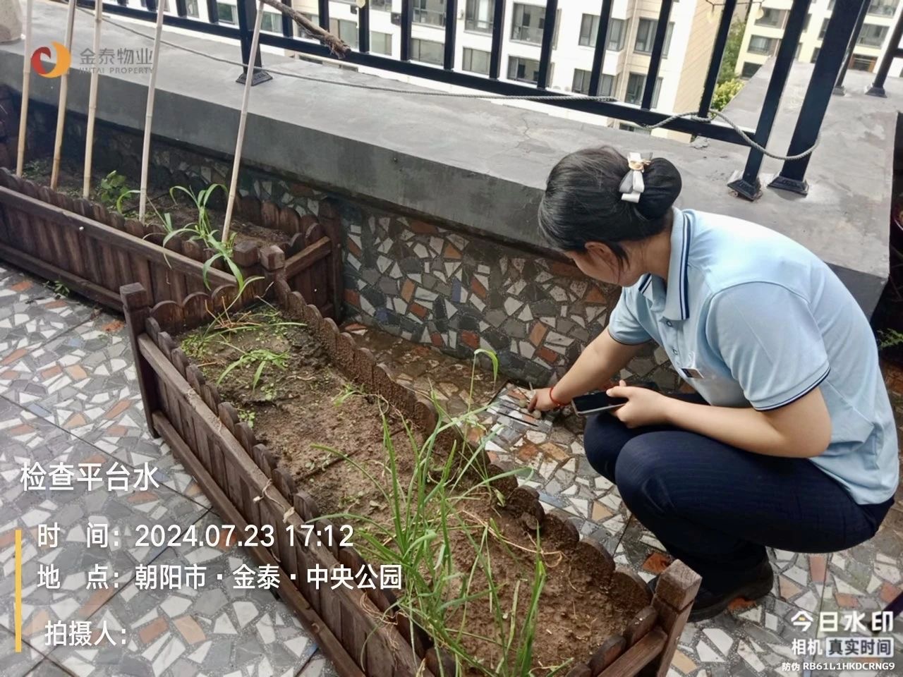 突降暴雨！｜金泰人闻“汛”而动冲在最前沿(图3)